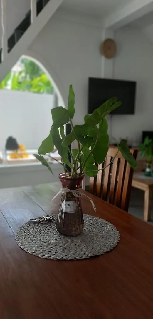 Villa Olivia Seminyak  Seminyak (Bali)